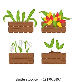 A set of flowers in boxes. Seedlings for the garden and home decoration. Can be used as icons, for infographics, design of thematic cards, banners, websites and other typography