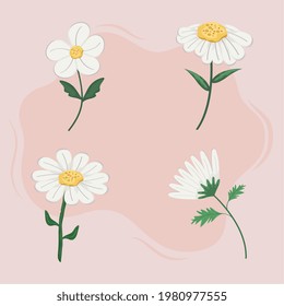 set of flowers with branches