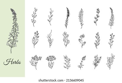 Set of flowers and branches isolated on white background. Handmade flower. Vector illustration. For greeting cards and wedding invitations, birthday, Valentine s Day, Mother s Day and others.
