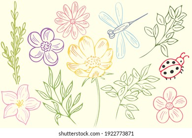 Set of flowers and branches, ladybug dragonfly. Vector, spring elements. Freehand sketch.