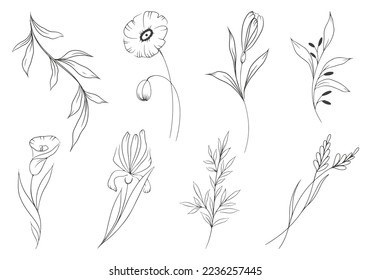 set of flowers and branches with leaves in hand drawn style