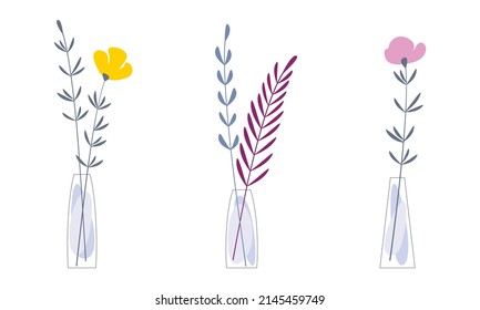 Set of flowers, branches, leaves in transparent contour vases with water shapes. Flat botanical vector illustration isolated on white. Floral decor, ornament, design element for print, pattern, card.