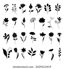 Set of flowers and branches in minimalistic style, hand drawn. Vector silhouette of plants. Floristic brushes. 