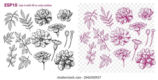 Set of flowers and branches, vector illustration, clipart. Group of objects for design and decoration
