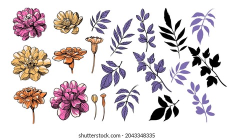 Set of flowers and branches, vector illustration, clipart. Group of objects for design and decoration