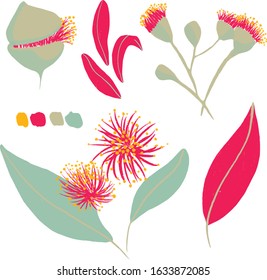 Set of flowers, buds and leaves of eucalyptus. Illustration with flowering plants. Suitable for creating backgrounds, logos, botanical frames. Decor of various objects.
