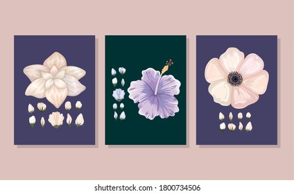 conjunto de flores con bichos pintados en el diseño de marcos, naturaleza floral natural adorno de jardín adornado y tema botánico Ilustración vectorial