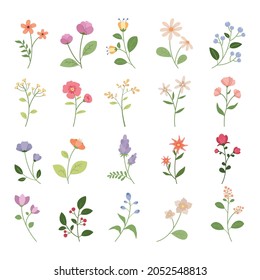 set of flowers bundle decor vector illustration design eps.10