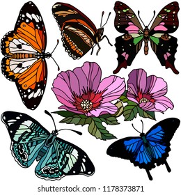 Set of flowers and butterflies. Vector illustration. Beautiful nature. Realistic colorful drawing, tattoo. Vintage pattern, background, wallpaper.