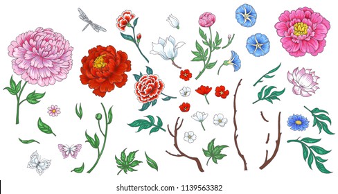 Set of flowers in Chinese style