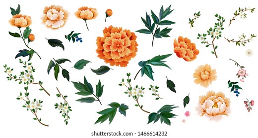 Set of flowers in Chinese style