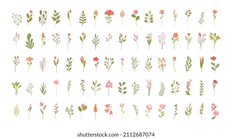 Set of flowers. Collection of badges for social sentey. Beautiful plants, flower shop design, graphic elements for website, greenery. Cartoon flat vector illustration isolated on white background