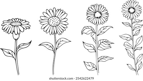 Satz Blumen, Sammlung von blühenden Blumen und Pflanzen, Schwarze Silhouetten der Frühlingsblume einzeln auf Weiß