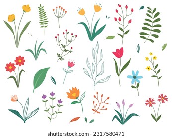 Set of Flowers collection, floral design elements