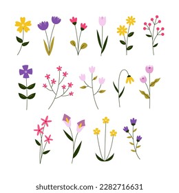 Colección de flores. Tipos de ilustraciones vectoriales de flores. Conjunto de iconos de flor de primavera. Ilustración de diseño plano de flores.