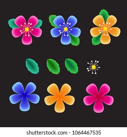 Set of flowers for the composition. Elements for composition. Spring and summer flowers. Flowering plants. Set 1