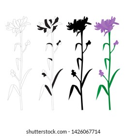 Set of flowers daisy, vector silhouettes , black, green and purple colors, isolated on white background