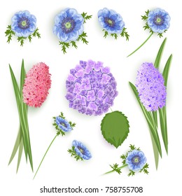 a set of flowers for decoration and design
