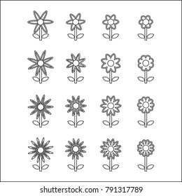 Set Flowers design Vector