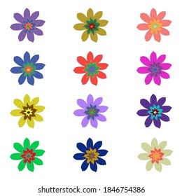 Un conjunto de flores de diferentes colores. Colores de moda. Cerdos en flor. Sobre un fondo blanco aislado. Esta plantilla se puede utilizar para diseño, creación de patrones, páginas de sitio.