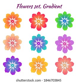 A set of flowers in different gradient colors. Trendy colors. Blooming buds. On an isolated white background. This pattern can be used for design, pattern creation, site pages.