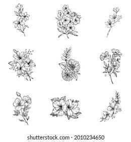 Set of flowers doodle isolated on a white background