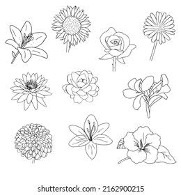 BlumenSet mit schwarzem Umriss auf weißem Hintergrund einzeln