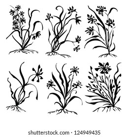set of flowers drawn in ink