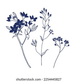 Un conjunto de flores dibujadas en vector en azul sobre un fondo blanco. Tres flores azules de campo. Para imprimir, creatividad, rayado, tela.