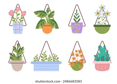 Set of flowers in flat cartoon design. A collection of stylized home flowers in planters of pleasant shades and colors can be a decoration of any design. Vector illustration.