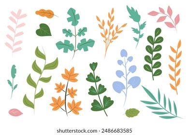 Blumenset im flachen Cartoon-Design. Ein Satz stilisierter Stems und Äste mit Blättern in verschiedenen Formen, in einem einfachen bunten Stil gezeichnet, kann eine Dekoration von jedem Design sein. Vektorillustration.