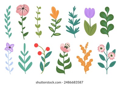 Set of flowers in flat cartoon design. Botanical elements depicting flowers, stems and branches are created in a simple style and gentle colors. Vector illustration.