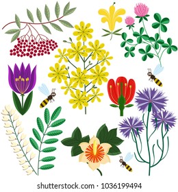 Set of flowers. Flat style