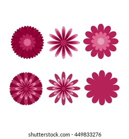 Set of flowers. Floral design elements.