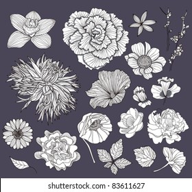 Set of flowers. Floral elements.