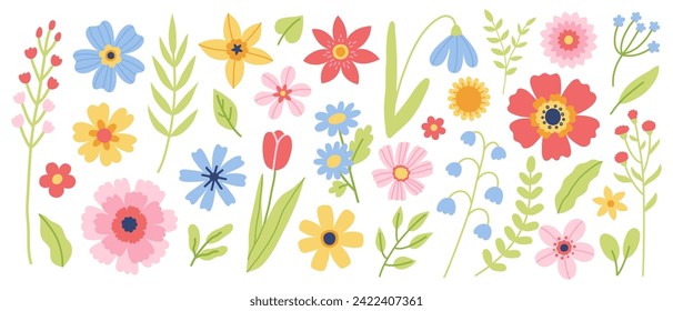 Set of flowers and floral elements. Vector flat illustration for greeting card or invitation design.