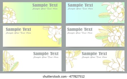 Set of flowers frangipani background with leafs in realistic hand-drawn style. Vector illustration.