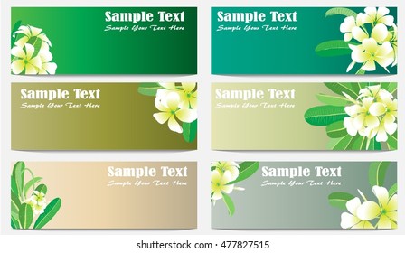 Set of flowers frangipani background with leafs in realistic hand-drawn style. Vector illustration.