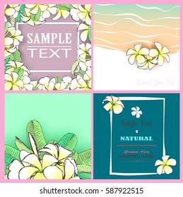 Set of flowers frangipani background with leafs in realistic hand-drawn style. Vector illustration.