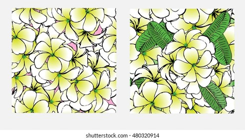 Set of flowers frangipani seamless background with leafs in realistic hand-drawn style. Vector illustration