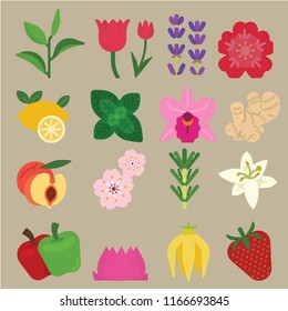 Set of flowers and fruit