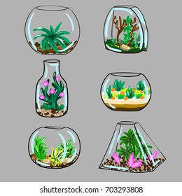 Set of flowers in glass vases on gray background. Vector illustration