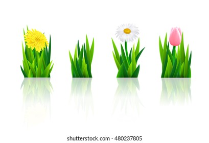Set of flowers with grass, vector illustration