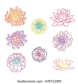 Set of flowers hand draw