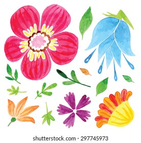 Set of flowers  hand drawing painted in watercolor on white paper. Sketch of flowers and herbs. Wreath, garland of flowers