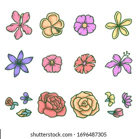 Conjunto de flores, línea dibujada a mano con color digital, ilustración vectorial