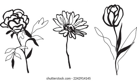 set of flowers. hand drawn rose, chamomile, tulip. black and white pen drawn flowers.