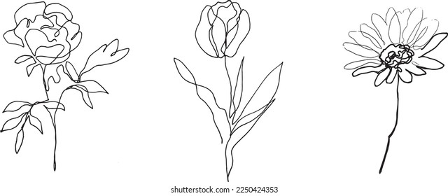 set of flowers. hand drawn rose, chamomile, tulip. pen drawing. line drawing of flowers.