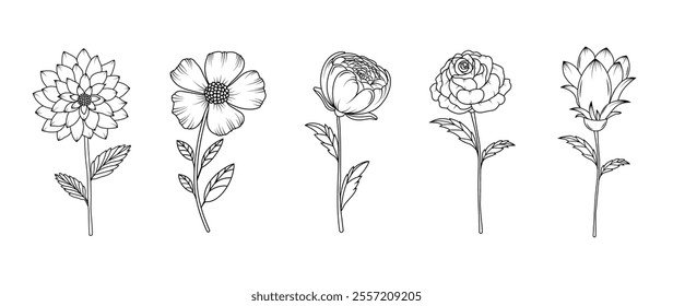 Set of flowers in hand drawn style. Botanical doodle set. Line art and clip art.  Bouquets. Silhouette of petals. Editable strokes. Elements and shapes. Trendy modern sketch. Cut out. Outline ornament