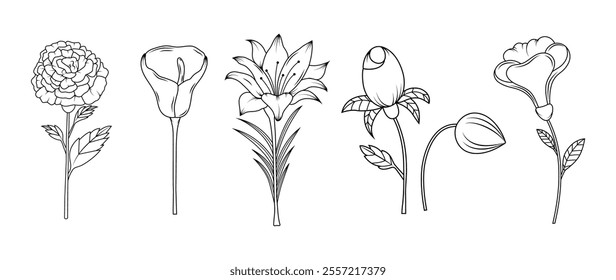 Set of flowers in hand drawn style. Herbal Botanical doodle set. Line art and clip art.  Silhouette of petals with editable strokes. Elements and shapes. Vintage sketch. Cut out. Elegance ornament.